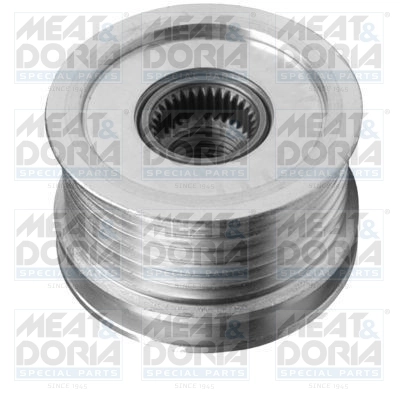Alternator Freewheel Clutch